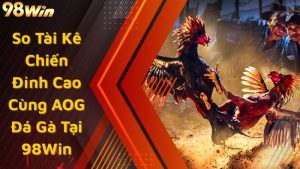 So Tài Kê Chiến Đỉnh Cao Cùng AOG Đá Gà Tại 98Win